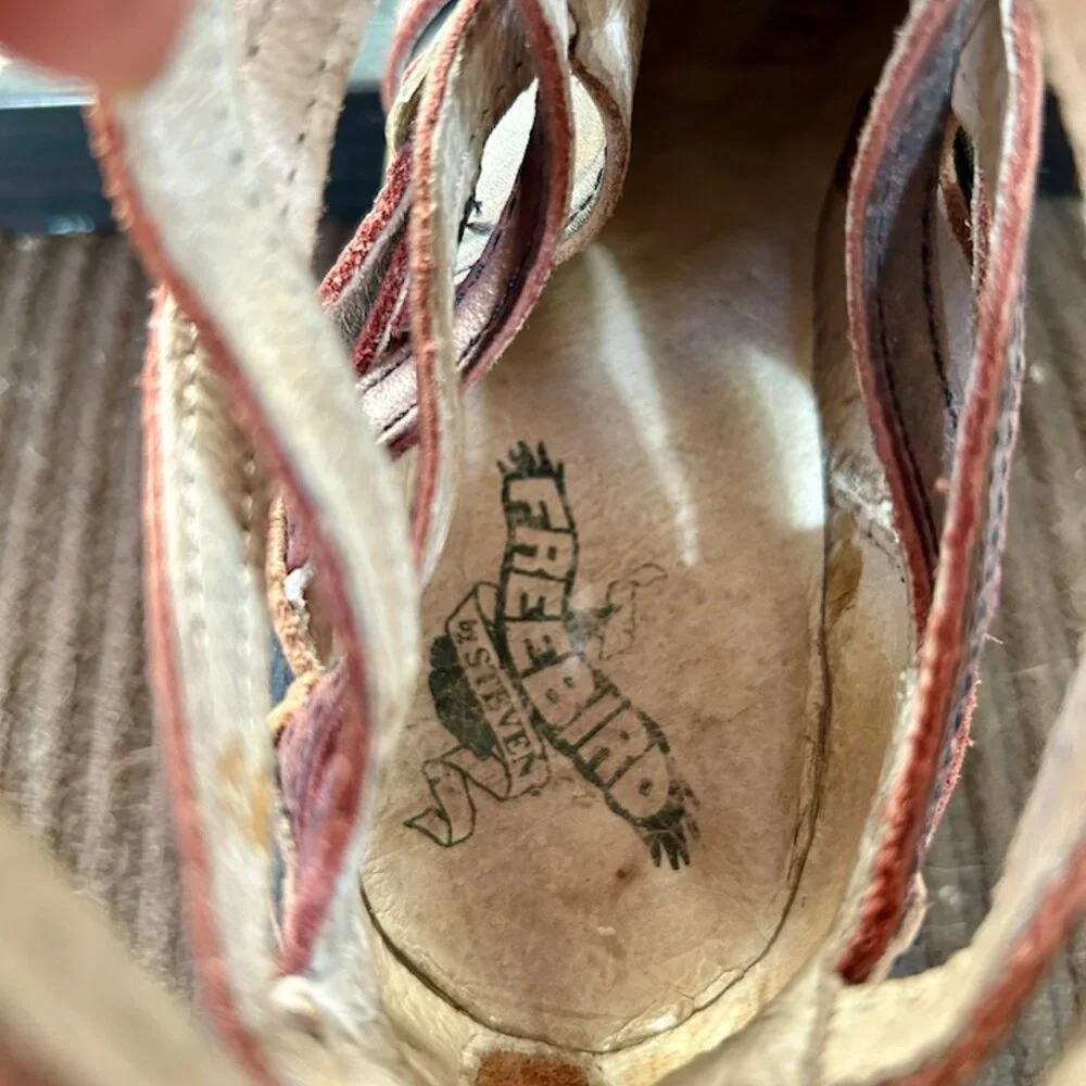 Freebird by Steven Brown and Burgundy Distressed Leather Ankle Boots